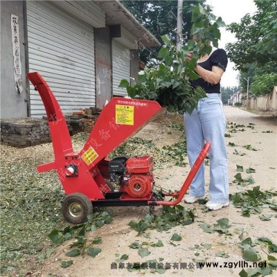 果樹行修剪枝條粉碎機 苗圃殘枝粉碎機 冬季枯樹枝清理打碎機促銷中3