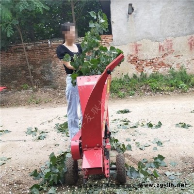 手扶皮帶傳動(dòng)樹杈粉碎機(jī) 物業(yè)園林樹枝粉碎機(jī) 干鮮兩用型1