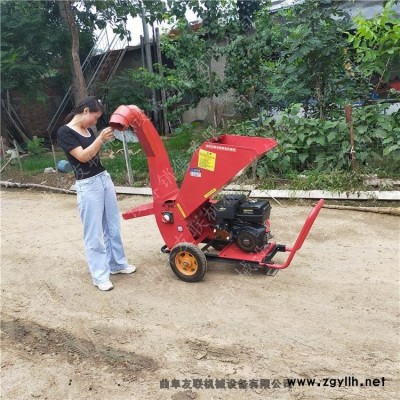 園林綠化修剪樹枝粉碎機 物業用殘枝枯木粉碎機 園林綠化枝條碎枝機4