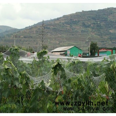 供應枸杞防鳥網