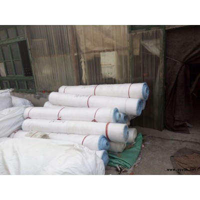 供應60目防蟲網 大棚防蟲網