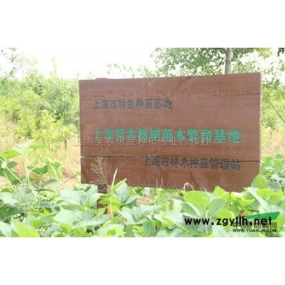 上海娜塔櫟9信息