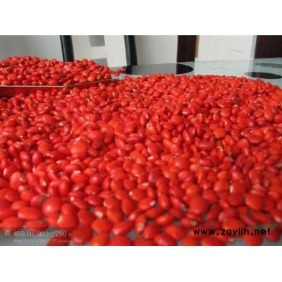 貴州啟良園林綠化有限公司