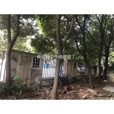 提供胸徑10-30cm的香樟樹