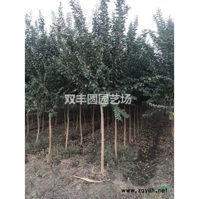 精編紫薇花瓶，造型文字，桂花花瓶，紅葉石楠花瓶等。