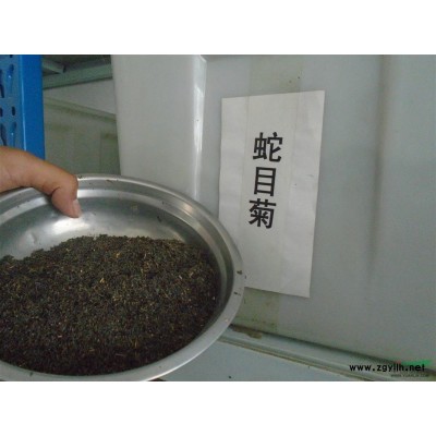 竹子基地銷售竹子2 ~8公分，品種*