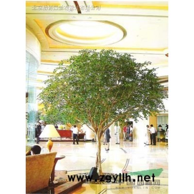 假竹子  保鮮竹子  仿真竹子 假竹子