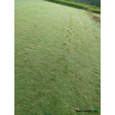 安徽馬尼拉信息