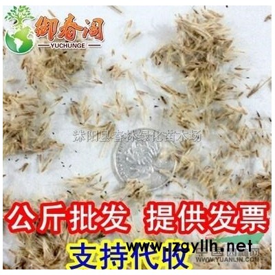 批發李葉繡線菊、金山繡線菊、紅花繡線菊、金焰繡線菊等各種花木