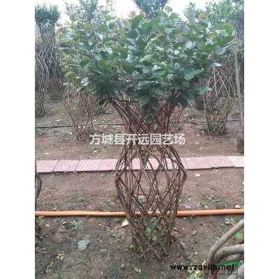 桂花花瓶骨架供應(yīng) 免費(fèi)指導(dǎo)編制 南陽桂花花瓶 四川桂花花瓶