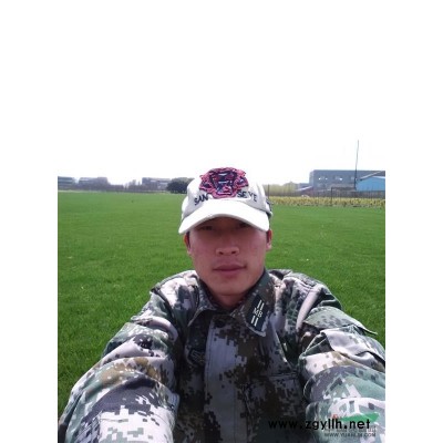 低價出售無土沙陪草坪10方