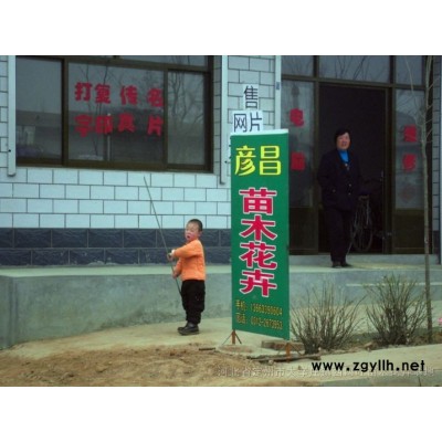 八寶景天、德國景天、三七景天、紅運萱草、金娃娃萱草、紫丁香