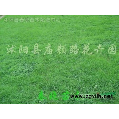 2-3公分垂柳8000株、苦楝30000株