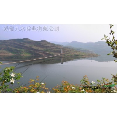 供應種苗木的土地，位于四川眉山