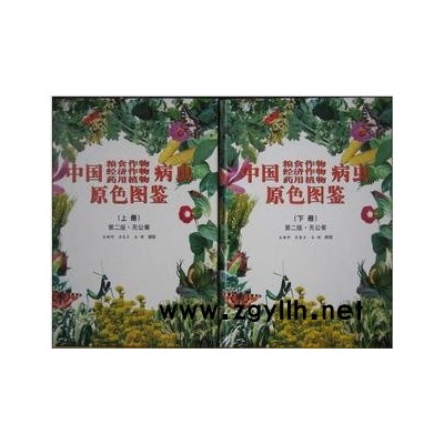 常用花卉種子、金魚草