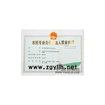 國(guó)槐，全冠國(guó)槐，南京國(guó)槐價(jià)格，移栽國(guó)槐樹形好