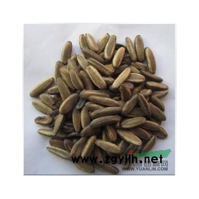 馬褂木、欒樹(shù)、樸樹(shù)、櫻花、合歡、烏桕、櫸樹(shù)