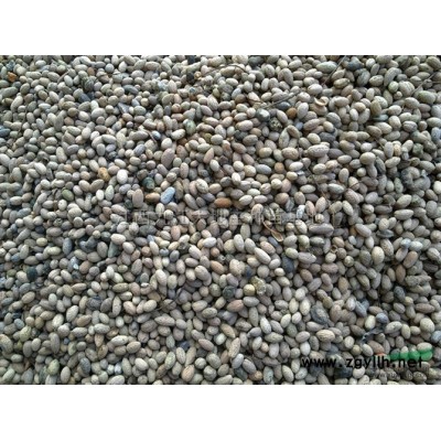 江西供應香樟3規格*