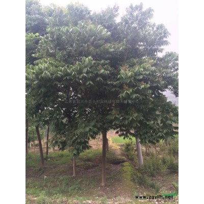 江蘇廣玉蘭信息