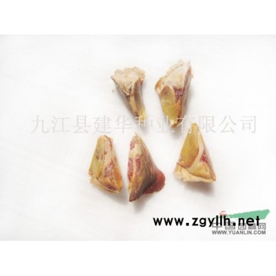 現貨出售銀杏種子 柏果種子 苗木種子  林木種子