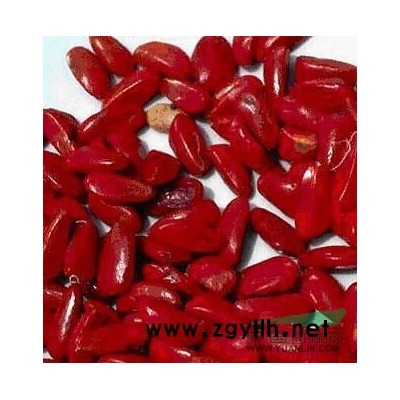 江西哪里有廣玉蘭種子賣、廣玉蘭種子多少錢一斤供應(yīng)/江西哪里有廣玉蘭種子賣、廣玉蘭種子多少錢一斤圖片