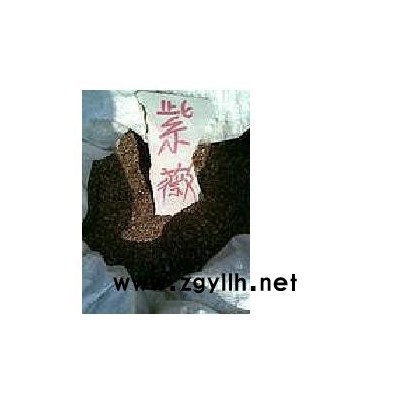 紫薇，紫荊，銀杏等苗木種子