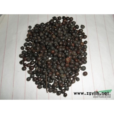 香樟1供應/香樟1圖片