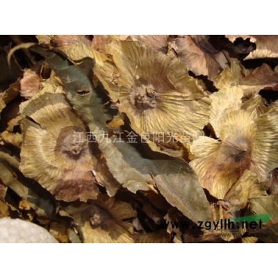 地徑1-3公分的大葉女貞、黃山欒樹、雞爪槭、紫薇、合歡、杜英