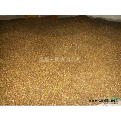 供應紅豆杉、羅漢松、香樟等等苗木