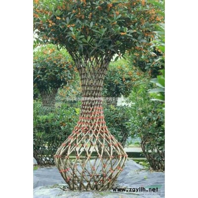 四川供應(yīng)桂花編織造型花瓶