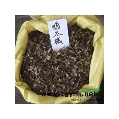 馬褂木種子供應/馬褂木種子圖片