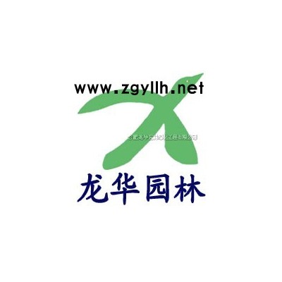 3cm-10cm重陽(yáng)木、無(wú)患子、垂柳、大葉女貞、蜀檜球等