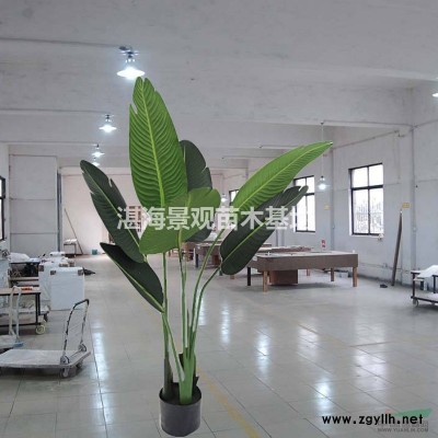 廠家定制 高仿真紅楓樹 人造紅楓樹 招財(cái)樹 楓葉樹 紅楓樹