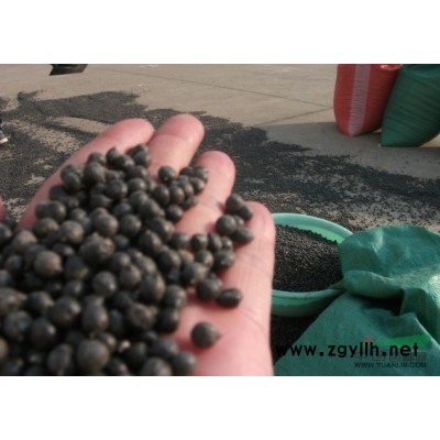 江西馬褂木種子信息