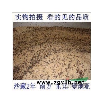 日本紅楓苗ィ日本紅楓種子.日本紅楓種子價格イ日本紅楓種子介紹