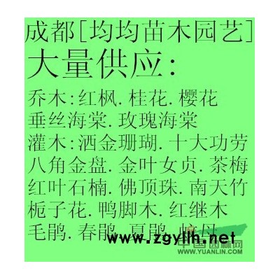 四川成都溫江紅楓 櫻花基地