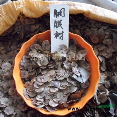 低價(jià)出售金娃娃萱草及種子，連翹及種子，含笑及種子