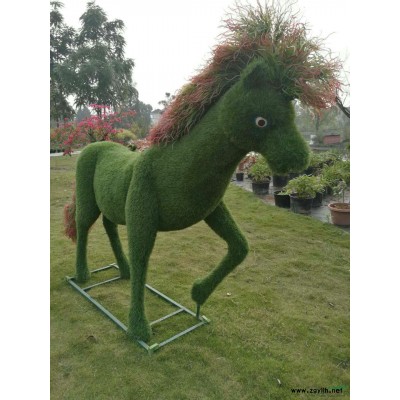 法國冬青基地，冬青基地，冬青批發出售