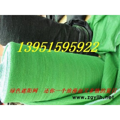 法國冬青（珊瑚、法青）的用途及價(jià)格行情