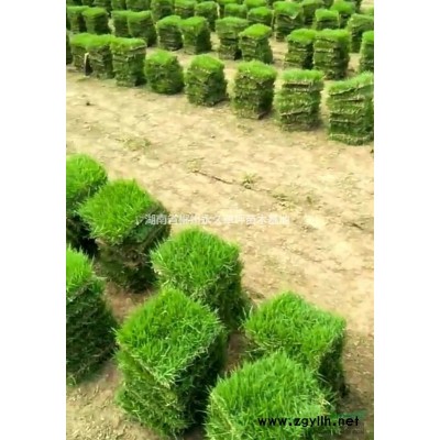 綠化草坪，杜鵑.紅花繼木.紅葉石楠.四季桂.月季花.金葉女貞