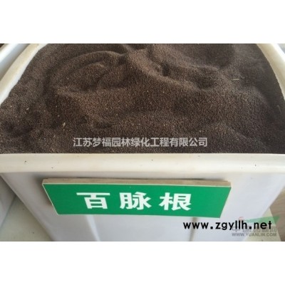 江蘇[產(chǎn)品]/江蘇大花六道木4價格/報價