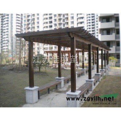 扶芳藤.大花六道木.常春藤.紫葉炸醬草.萬年青等大量工程苗供