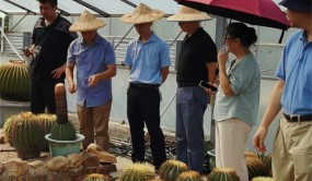 福建首個省級仙人掌種質資源庫通過專家現場評審認定