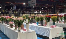 昆明斗南玫瑰展銷館正式對外開放